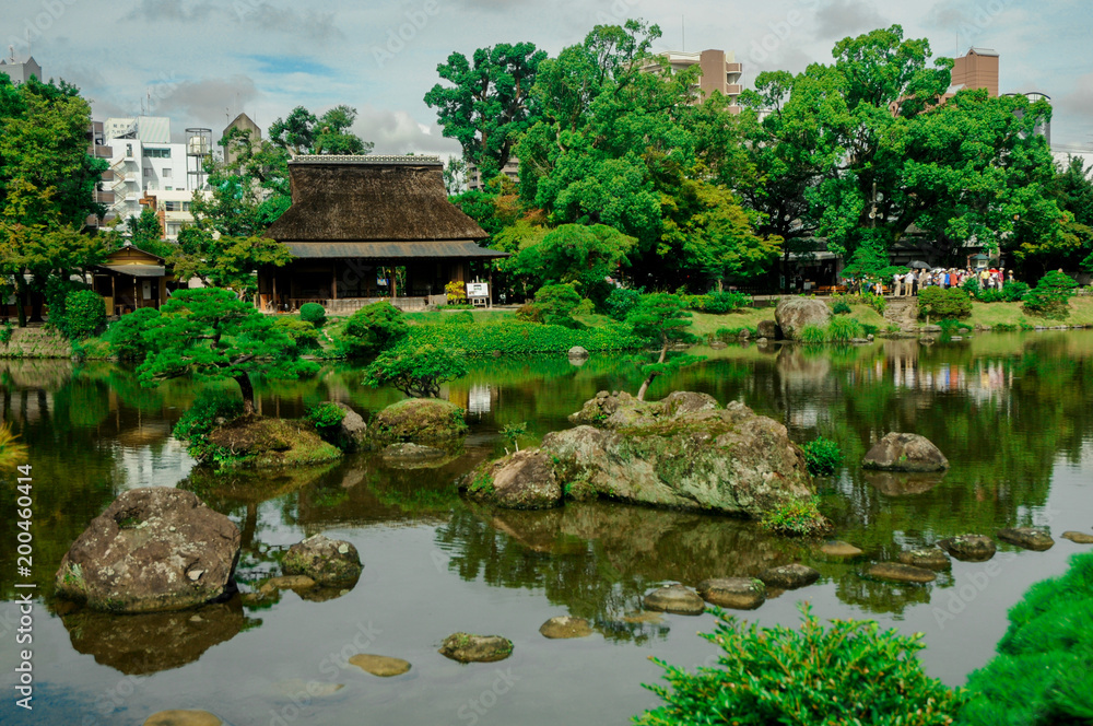Obraz premium Japanese Garden with Full of Green. The good season for nature to visit Japan is usually from April to November, but you like snowy you should visit here from December to March.