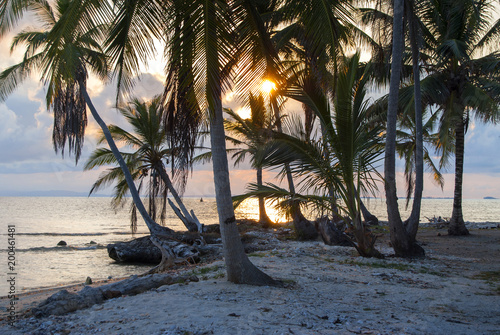 Isla, paraíso, edén, puesta de sol palmeras, Guna Yala, Kuna Yala, San Blas, Panamá, Caribe