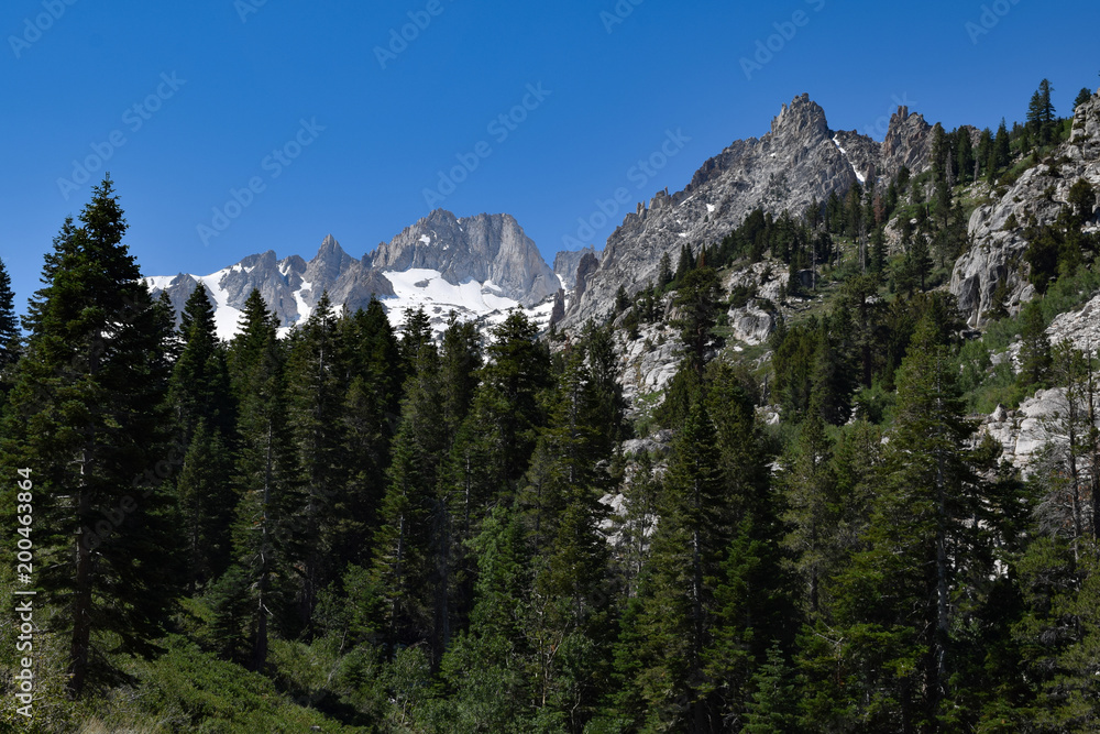 snow capped mountains, peak, mountain, forest snow capped mountains, peak, mountain, forest