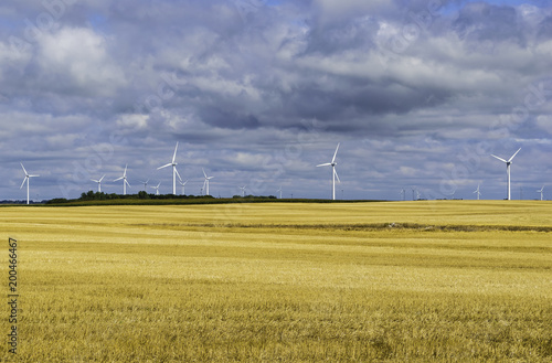 Wallpaper Mural Windy Fields Of North Dakota Torontodigital.ca