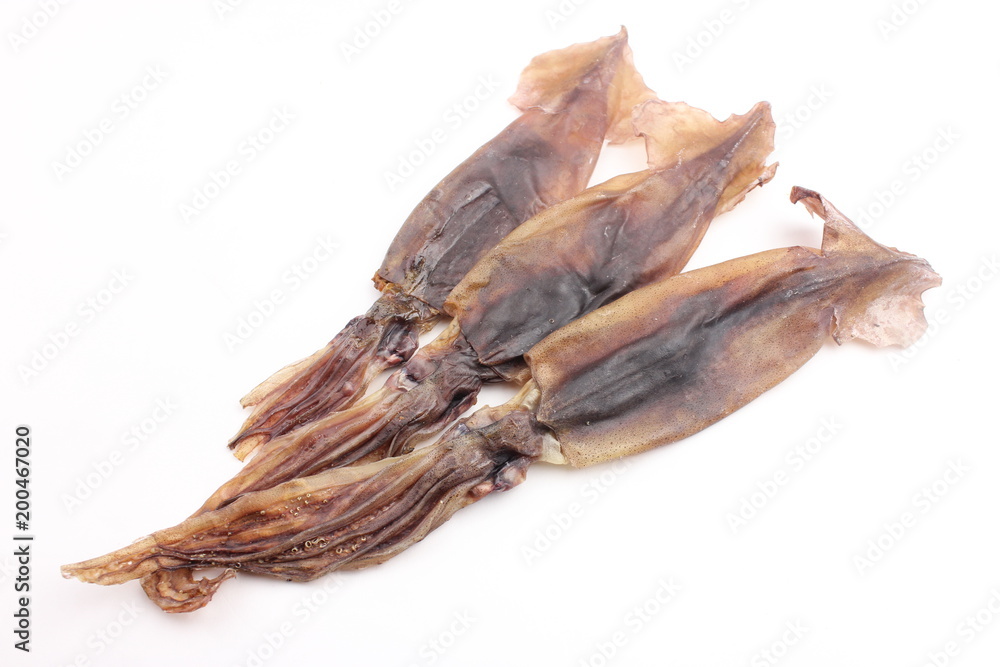 Fototapeta premium イカ