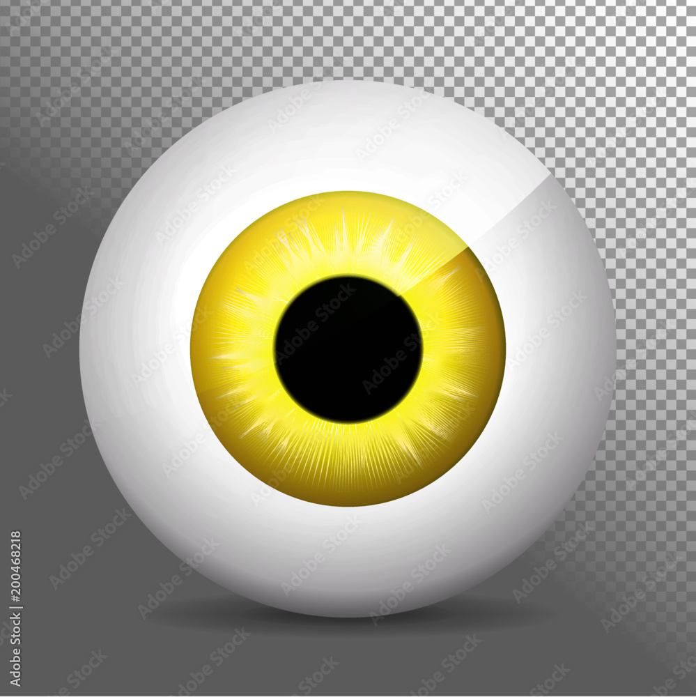 EyeballyellowEye, yellow. Realistic 3d orange eyeball vector illustration. Real human iris,pupil and eye sphere. Icon on transparent background. Isolated macro color eyeball. Character eyes design. Ci EyeballyellowEye, yellow. Realistic 3d orange eyeball vector illustration. Real human iris,pupil and eye sphere. Icon on transparent background. Isolated macro color eyeball. Character eyes design. Ci