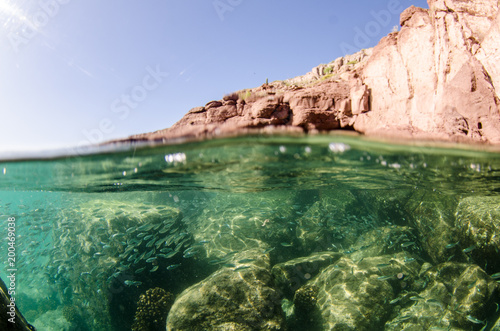 Coral reef scenics of the Sea of Cortez, Baja California Sur, Mexico.  © leonardogonzalez