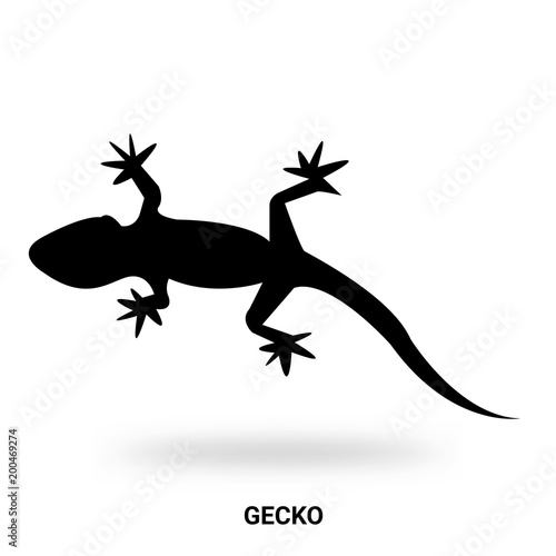 gecko silhouette isolated on white background