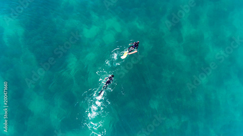 people snorkeling