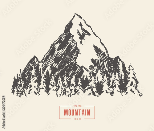 Vector mountain peak pine forest hand drawn sketch