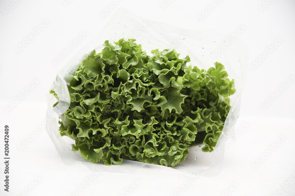 Green lettuce in a plastic package Green lettuce in a plastic package