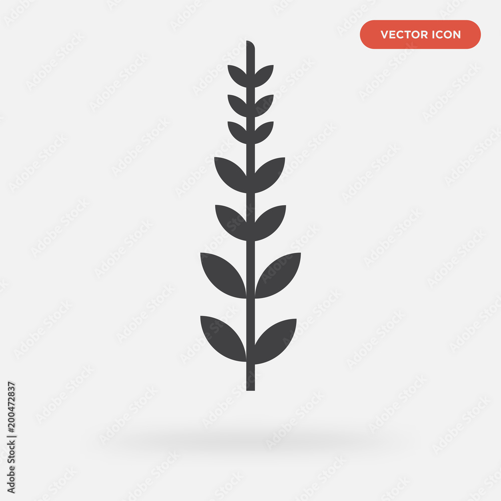 sage leaf icon isolated on grey background, in black, vector icon illustration