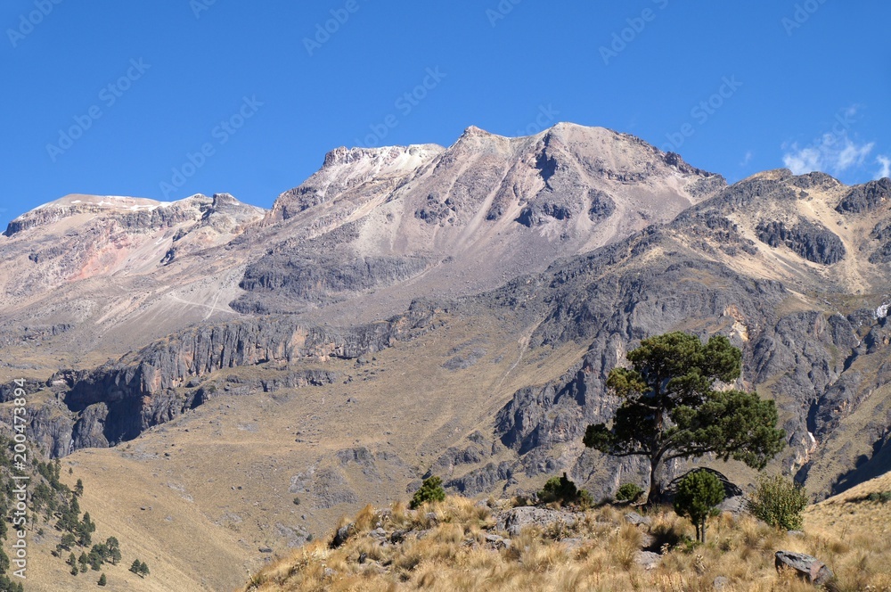 Iztaccihuatl volcano seen from Izta-Popo Zoquiapan National Park, Mexico with several small pines on the foreground