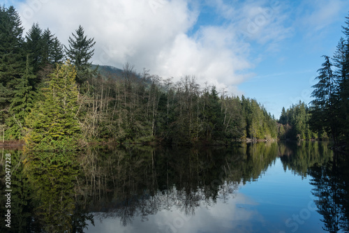 Fototapeta Naklejka Na Ścianę i Meble -  Peaceful quiet lake with reflecting trees in calm water