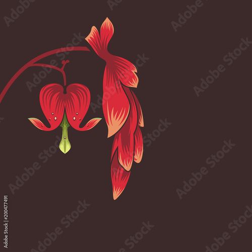Bleeding heart flower on the Dark background - Vector Illustration