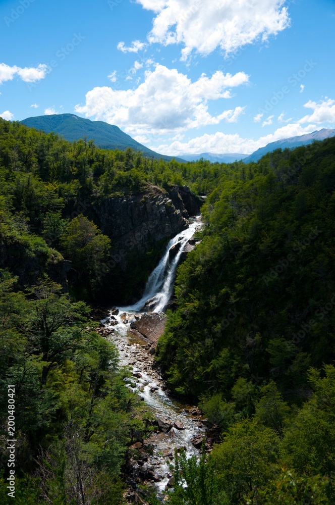 Vertical photo of Ñivinco fall in Neuquen Argentina with trees and plants in the foreground and a water stream and mountains in the background Vertical photo of Ñivinco fall in Neuquen Argentina with trees and plants in the foreground and a water stream and mountains in the background