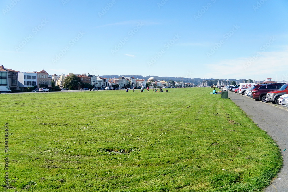 Naklejka premium Green field, park in San Fransisco.