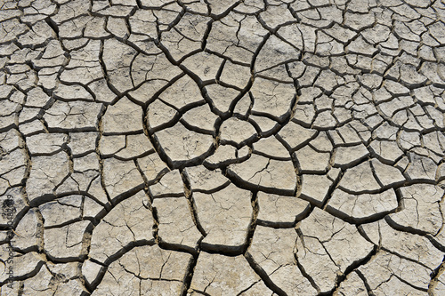 The parched soil