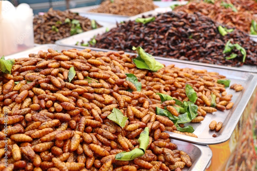 Fried Insect at street food Fried Insect at street food