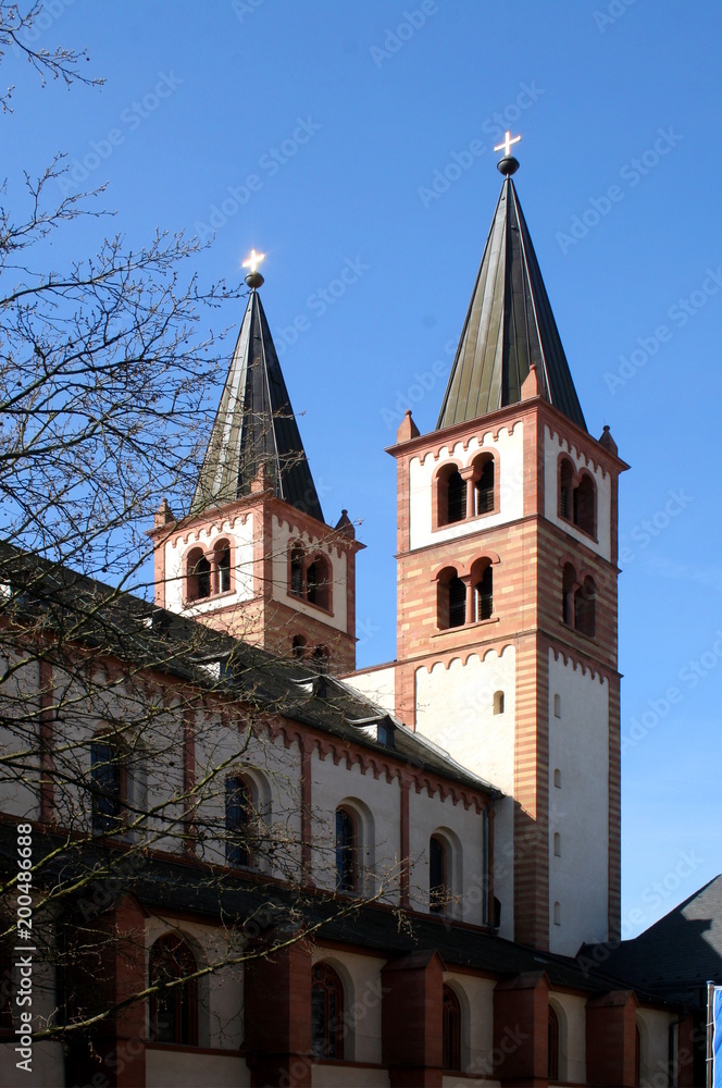 Der Würzburger Dom. Rückseite
