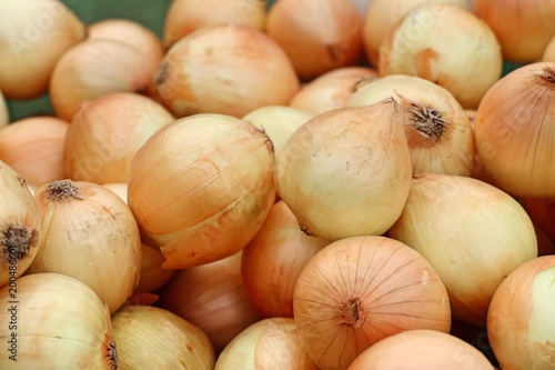 Onion at the market