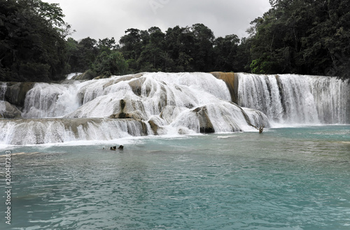 Cataratas de Agua Azul  Wasserf  lle des blauen Wassers  Palenque  Chiapas  Mexiko  Mittelamerika