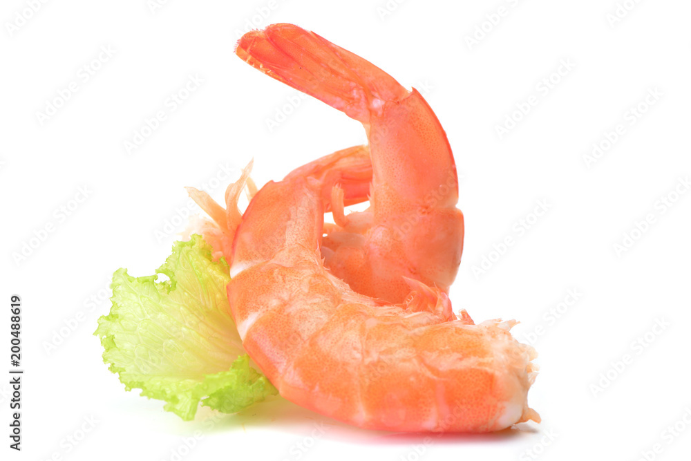 Fresh shrimps Fresh shrimps