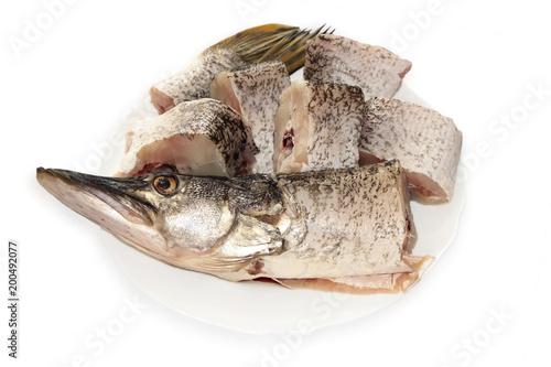 Pike raw fish  cut to pieces on plate  isolated photo