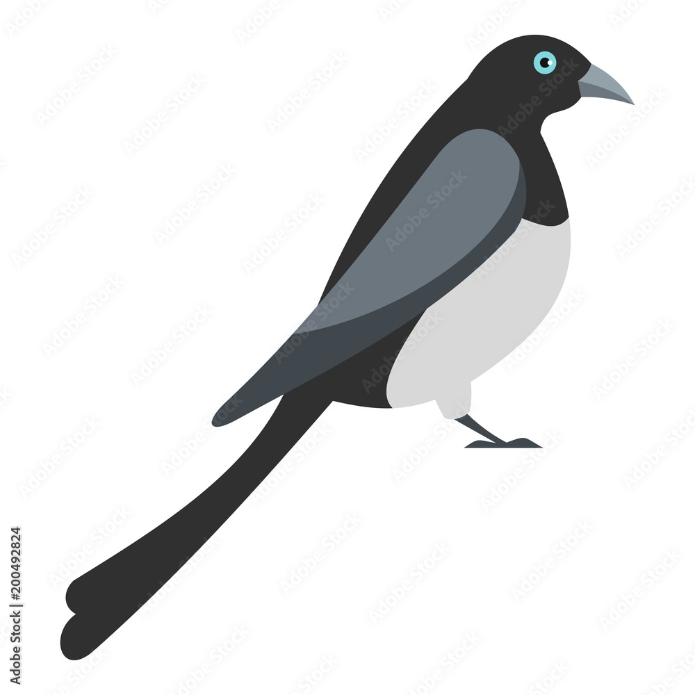 Big magpie icon. Flat illustration of big magpie vector icon for web Big magpie icon. Flat illustration of big magpie vector icon for web
