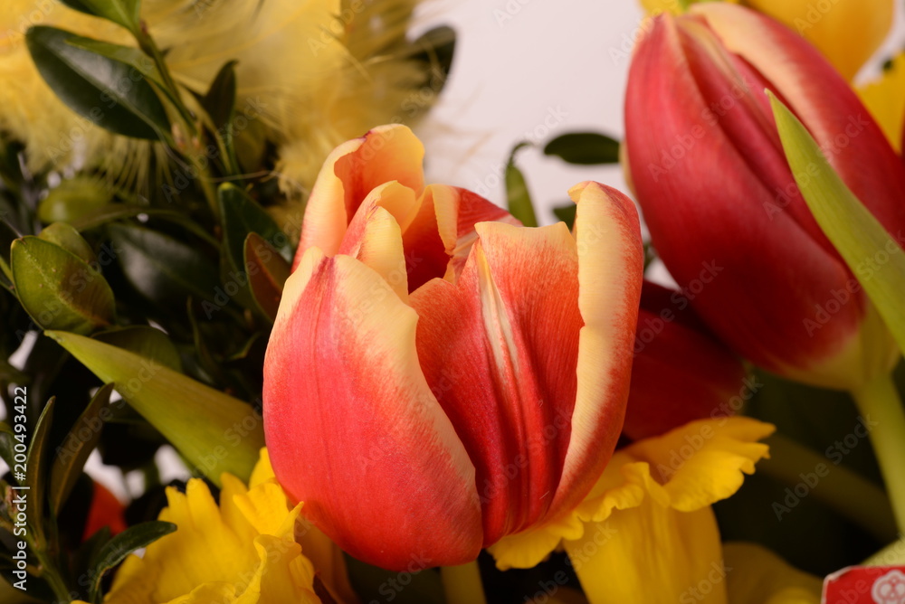 Naklejka premium Bukiet tulipanów