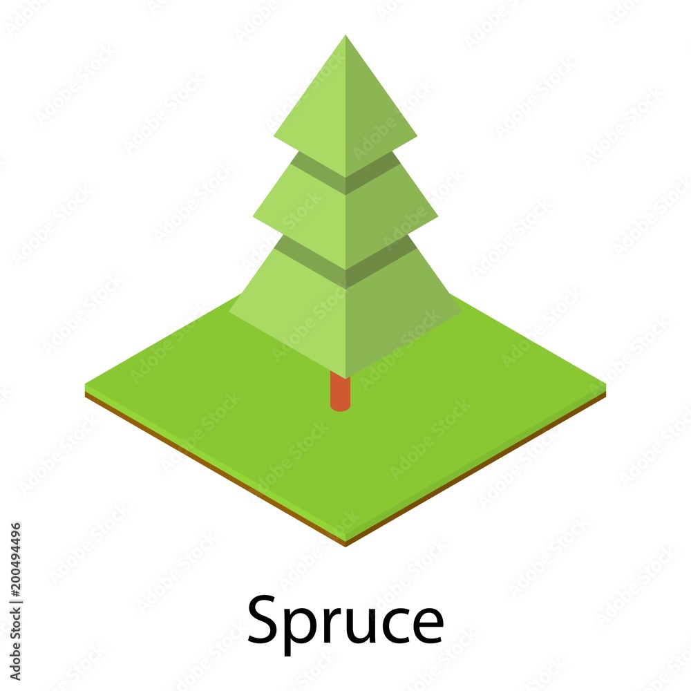 Fototapeta premium Spruce tree icon. Isometric illustration of spruce tree vector icon for web