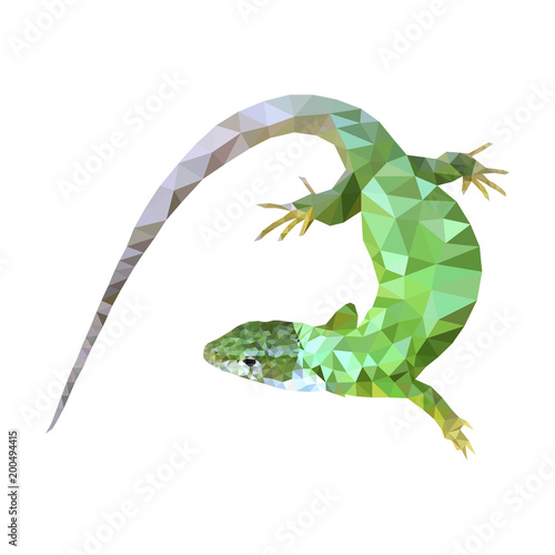 green lizard low poly design eps 10
