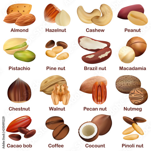 Nut types with signed names mockup set. Realistic illustration of 16 nut types with signed names mockups for web