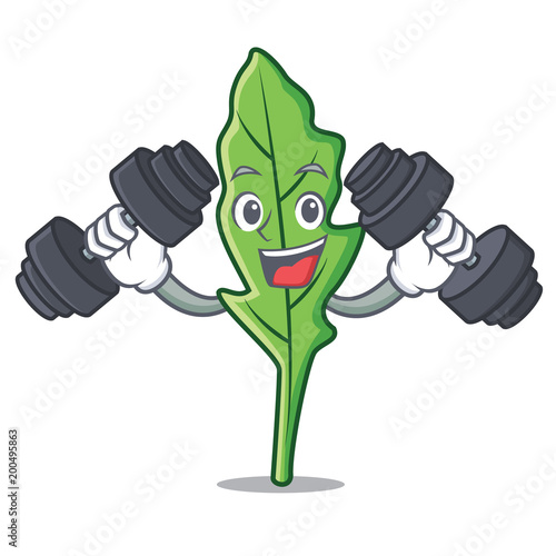 Fitness arugula character cartoon style