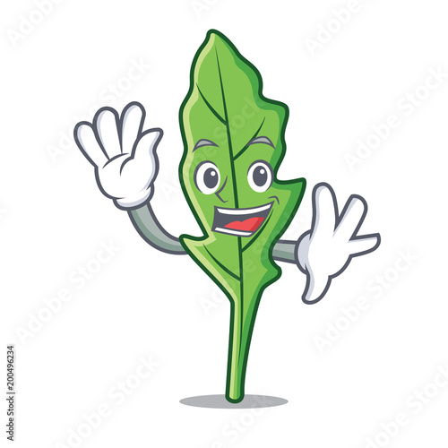 Waving arugula character cartoon style