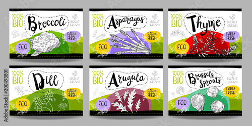 Set of hand drawn food labels, spices labels, fruit labels, vegetable labels