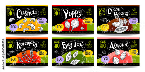 Set of hand drawn food labels, spices labels, fruit labels, vegetable labels