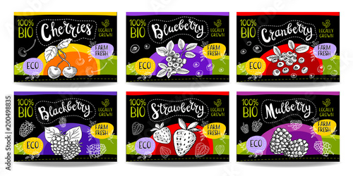 Set of hand drawn food labels, spices labels, fruit labels, vegetable labels