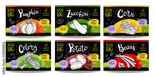 Set of hand drawn food labels, spices labels, fruit labels, vegetable labels