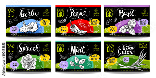 Set of hand drawn food labels, spices labels, fruit labels, vegetable labels