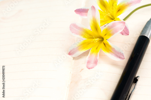 Colorful spring flowers, with blank open diary pages and pen, closeup background.