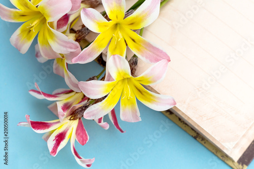 Colorful spring flowers  with blank open diary for text  on light blue background.