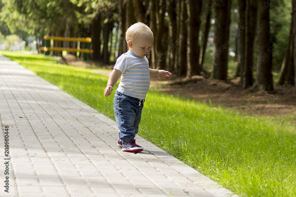 Cute toddler ow the walk in summer park. Adorable baby boy walking in a beautiful summer garden Cute toddler ow the walk in summer park. Adorable baby boy walking in a beautiful summer garden