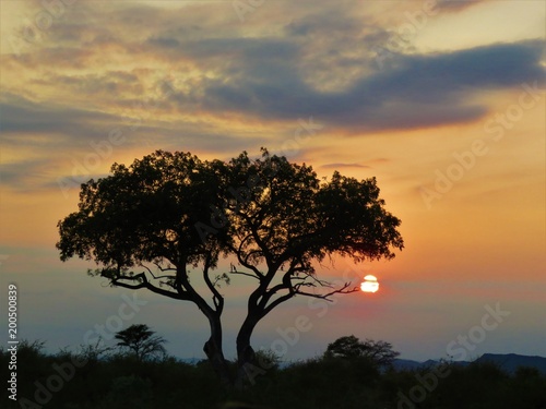 Sunset - Madikwe