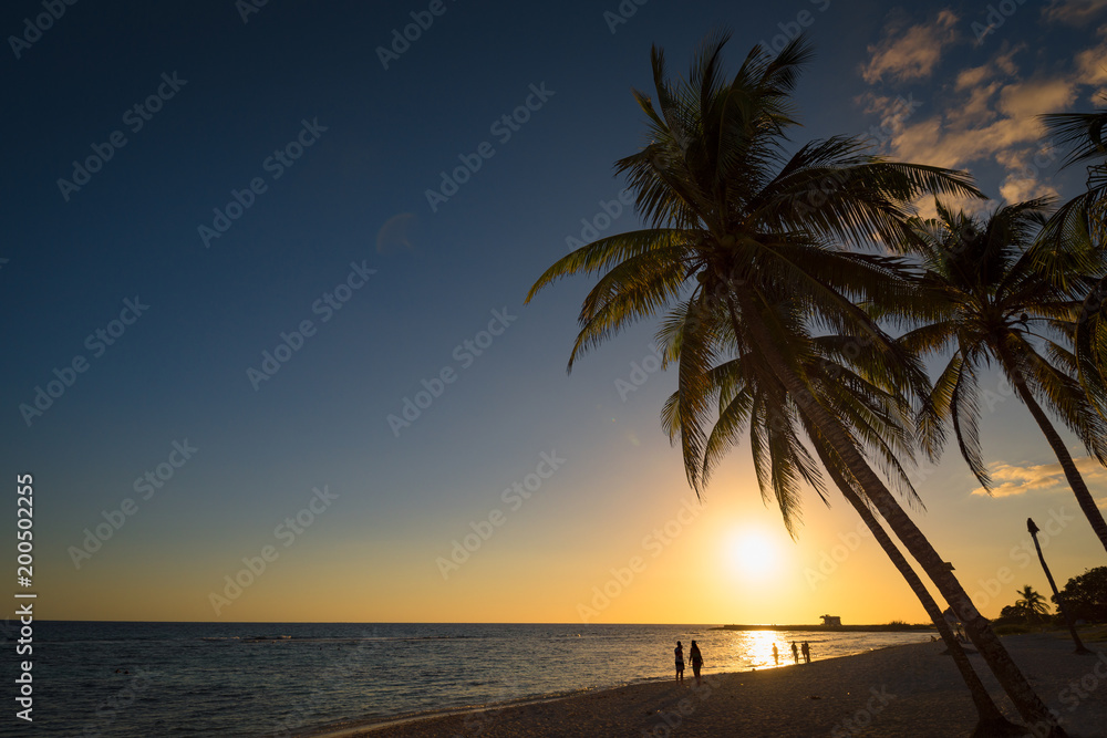 Palmenstrand bei Sonnenuntergang