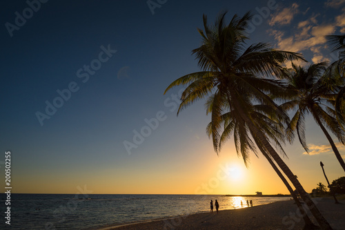 Palmenstrand bei Sonnenuntergang