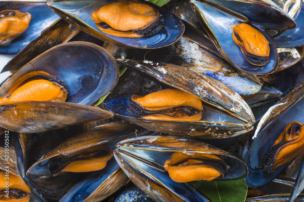 Φωτογραφία Mejillones cocidos al vapor abiertos listos para la comida, marisco barato y sal