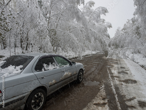 gray passenger car rides on a broken road over which bent tree crowns from heavy wet snow