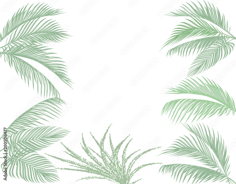 Leaves of palms in pastel tones. Set. agave. Isolated on white background. illustration Stock Vector | Adobe Stock