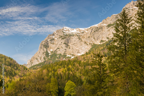 Berge und Wald im Berchtesgadener Land an einem Tag im Frühling