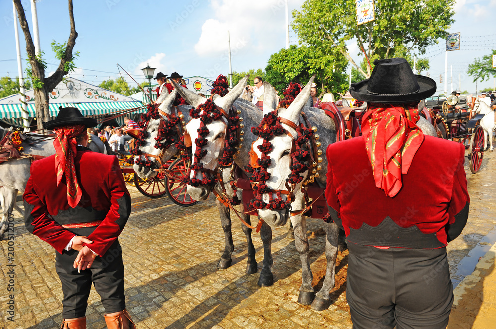 Fototapeta premium Coche de caballos en la Feria de abril, feria de Sevilla, fiesta en España