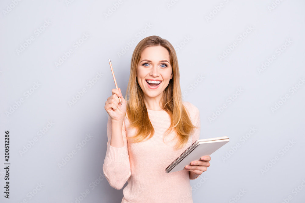 Creative work worker teenager list joy plan moment science learn author blonde hair people person concept. Clever intelligent excited lady holding notebook pen in hands isolated on gray background Creative work worker teenager list joy plan moment science learn author blonde hair people person concept. Clever intelligent excited lady holding notebook pen in hands isolated on gray background