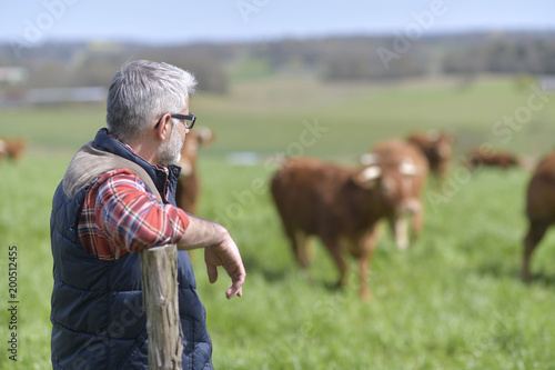 Farmer standing in field with cattle in background © goodluz