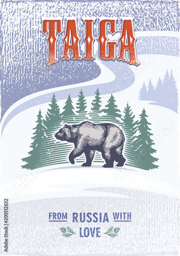 Тайга, идущий медведь на фоне елей, Россия, любовь, винтаж, цветной постер, иллюстрация, вектор